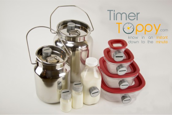 The Timer Toppy: http://www.timertoppy.com